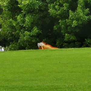 Meet your Posher, Mike